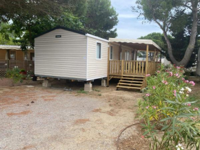 Merveilleux Mobilhome Neuf pour 6 Personnes